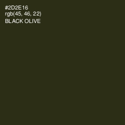 #2D2E16 - Black Olive Color Image