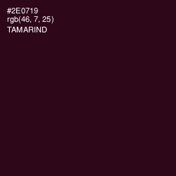 #2E0719 - Tamarind Color Image