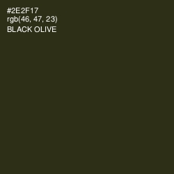 #2E2F17 - Black Olive Color Image