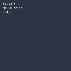 #2E3444 - Tuna Color Image