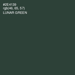 #2E4139 - Lunar Green Color Image