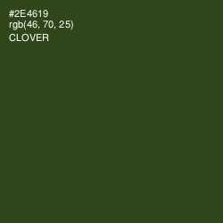 #2E4619 - Clover Color Image