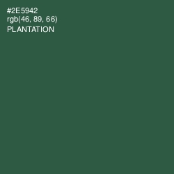 #2E5942 - Plantation Color Image