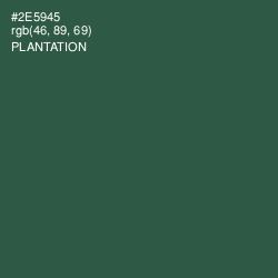 #2E5945 - Plantation Color Image