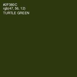 #2F380C - Turtle Green Color Image