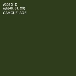 #303D1D - Camouflage Color Image