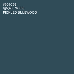 #304C59 - Pickled Bluewood Color Image
