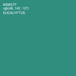 #308E7F - Eucalyptus Color Image