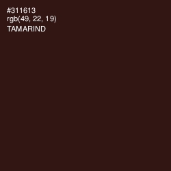 #311613 - Tamarind Color Image