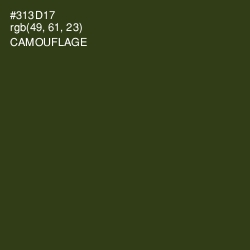 #313D17 - Camouflage Color Image