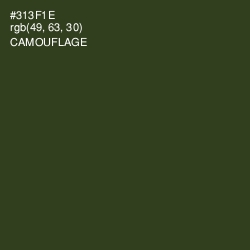 #313F1E - Camouflage Color Image