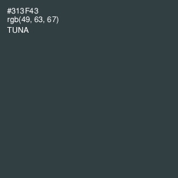 #313F43 - Tuna Color Image