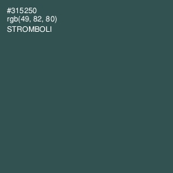 #315250 - Stromboli Color Image