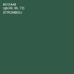 #315A48 - Stromboli Color Image