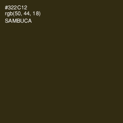 #322C12 - Sambuca Color Image