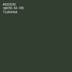 #323E30 - Tuatara Color Image
