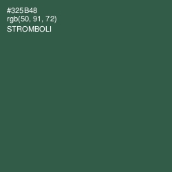 #325B48 - Stromboli Color Image