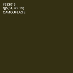 #333013 - Camouflage Color Image