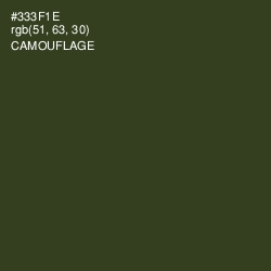 #333F1E - Camouflage Color Image