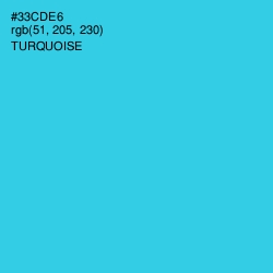 #33CDE6 - Turquoise Color Image