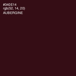 #340E14 - Aubergine Color Image