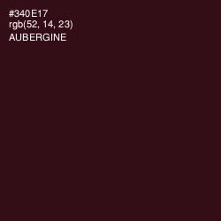 #340E17 - Aubergine Color Image