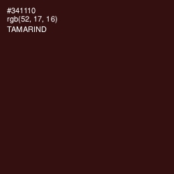 #341110 - Tamarind Color Image