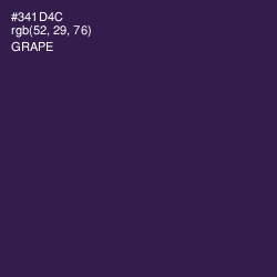 #341D4C - Grape Color Image