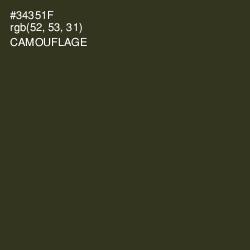 #34351F - Camouflage Color Image