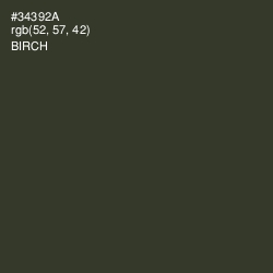 #34392A - Birch Color Image