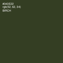 #343E22 - Birch Color Image