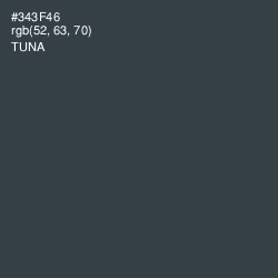 #343F46 - Tuna Color Image