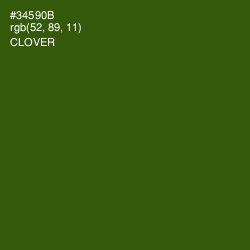 #34590B - Clover Color Image