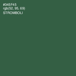 #345F45 - Stromboli Color Image