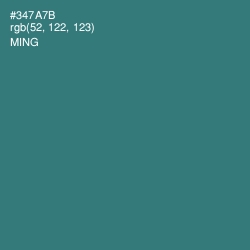 #347A7B - Ming Color Image