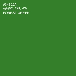 #34802A - Forest Green Color Image
