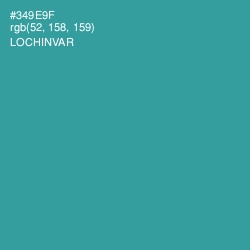 #349E9F - Lochinvar Color Image