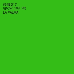 #34BD17 - La Palma Color Image