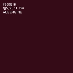 #350B18 - Aubergine Color Image