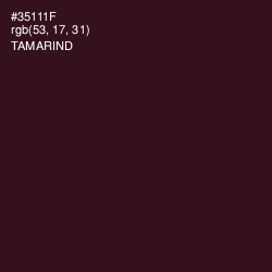 #35111F - Tamarind Color Image