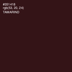 #351418 - Tamarind Color Image