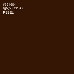 #351604 - Rebel Color Image