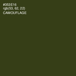 #353E16 - Camouflage Color Image