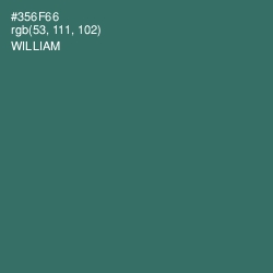 #356F66 - William Color Image
