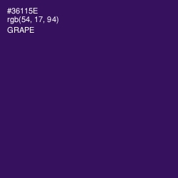 #36115E - Grape Color Image