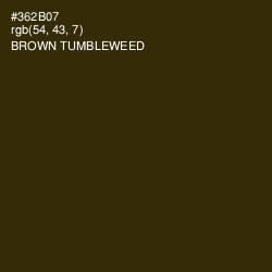 #362B07 - Brown Tumbleweed Color Image
