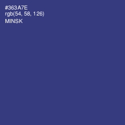 #363A7E - Minsk Color Image