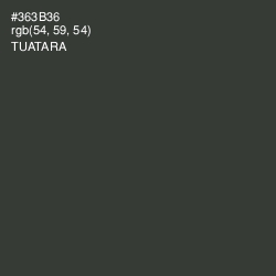 #363B36 - Tuatara Color Image