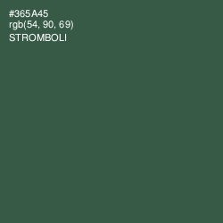 #365A45 - Stromboli Color Image