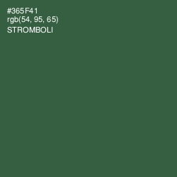 #365F41 - Stromboli Color Image